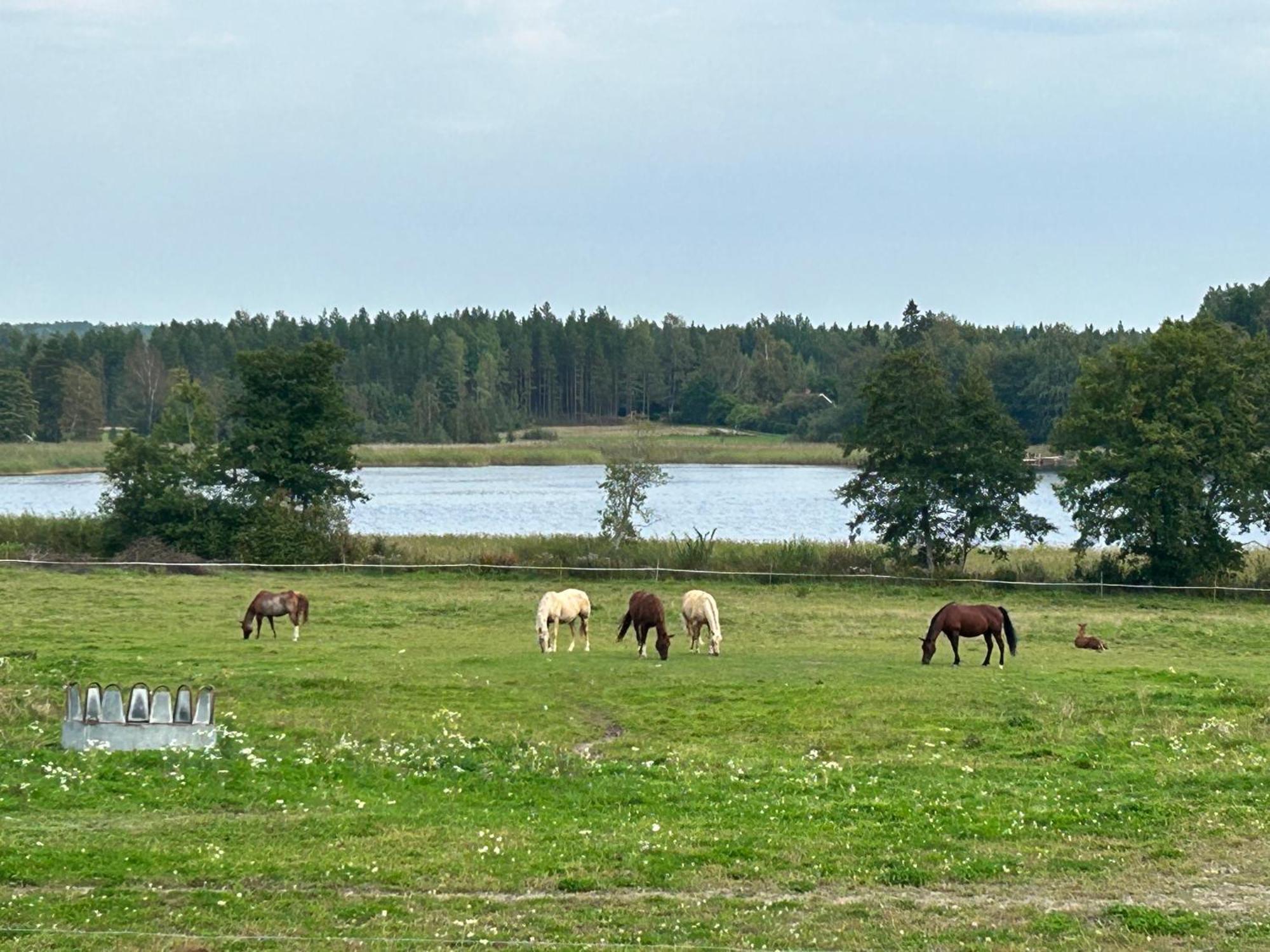 Ulvsby Ranch Western Camp Karlstad Exterior photo